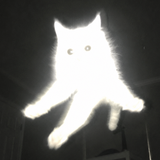 ������