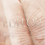 editor