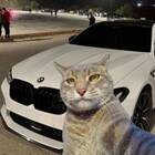 Sanyok_Driver