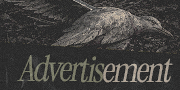 pr